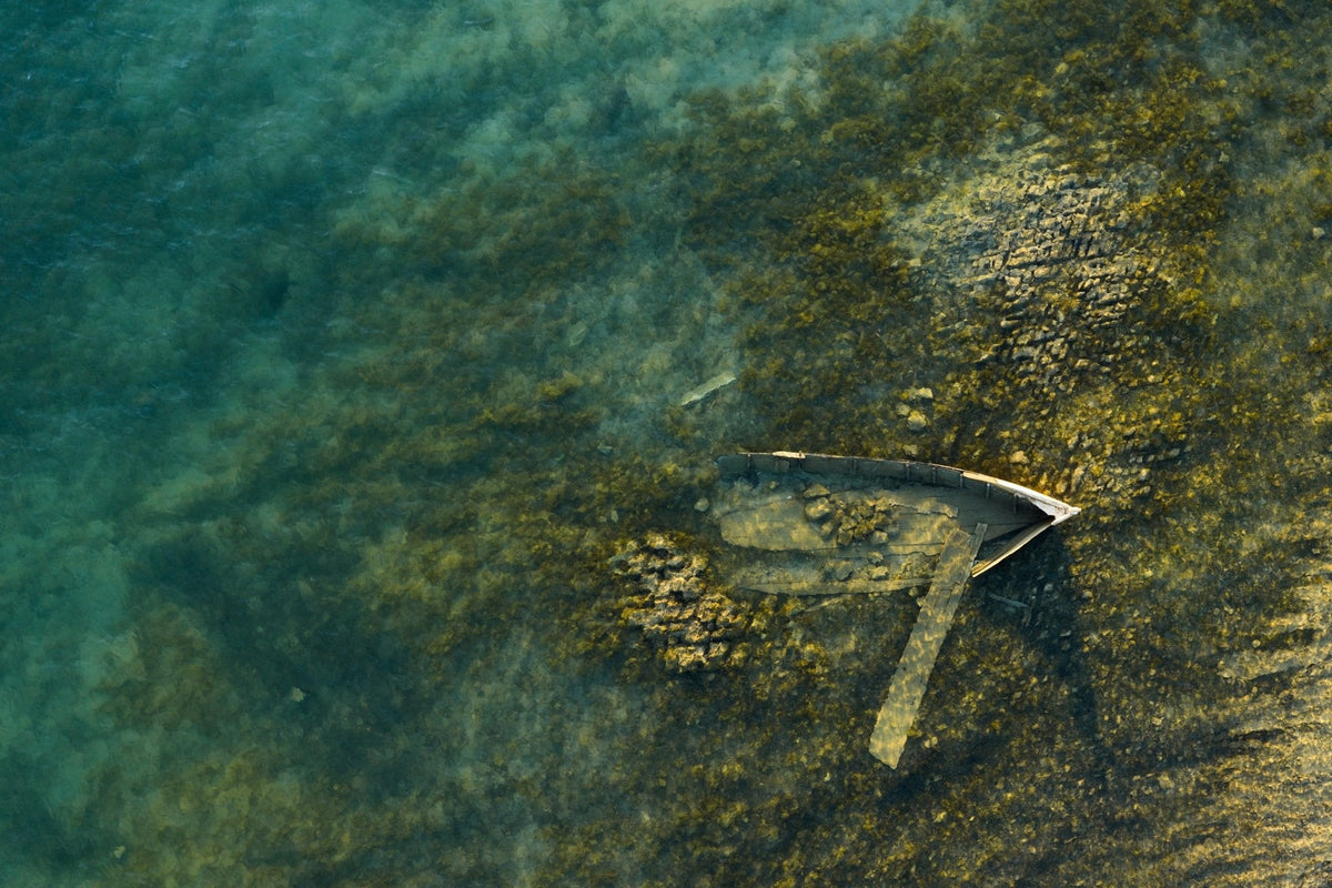 The Boat