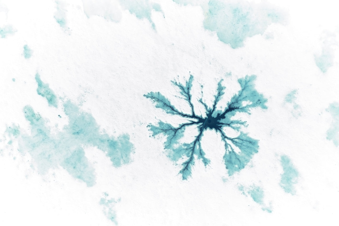 Dendrites