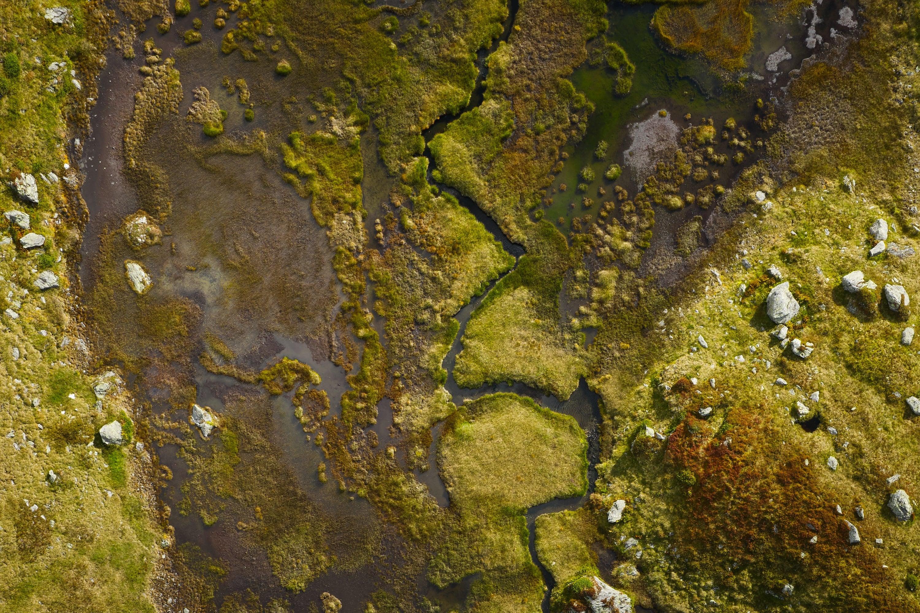 Wetlands & Riversides