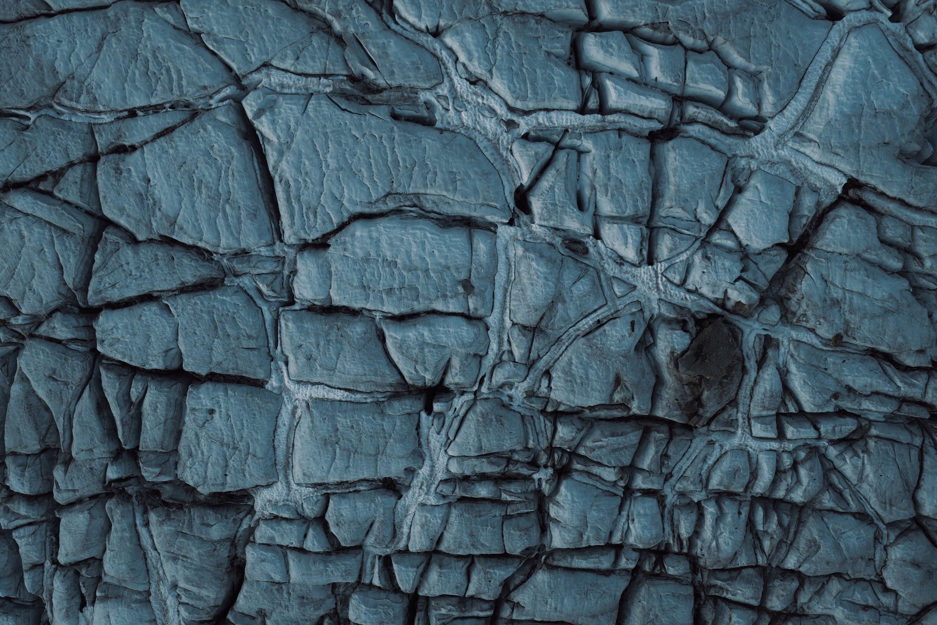 Basic image – ready for print or licensing.