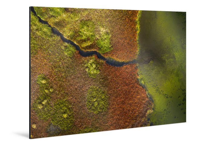 Photo Print On Aluminum Backing