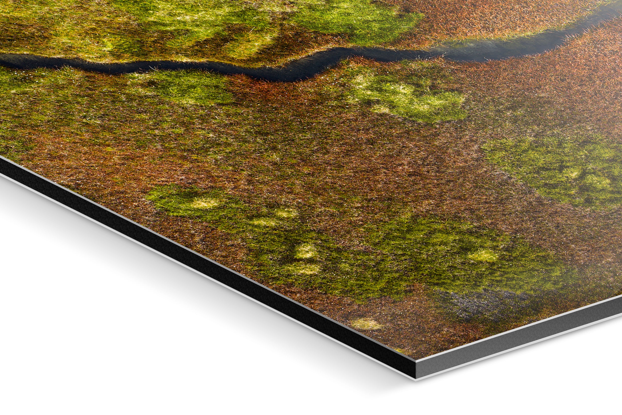 Photo Print On Aluminum Backing - Detail