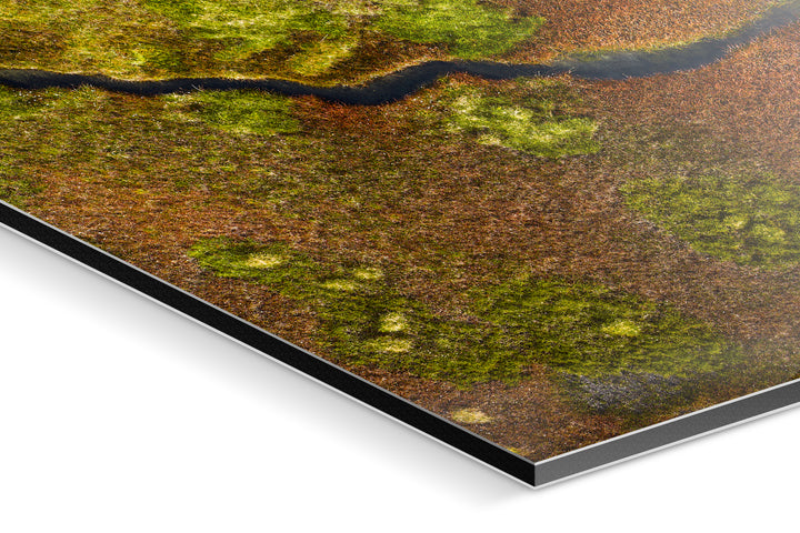 Photo Print On Aluminum Backing - Detail
