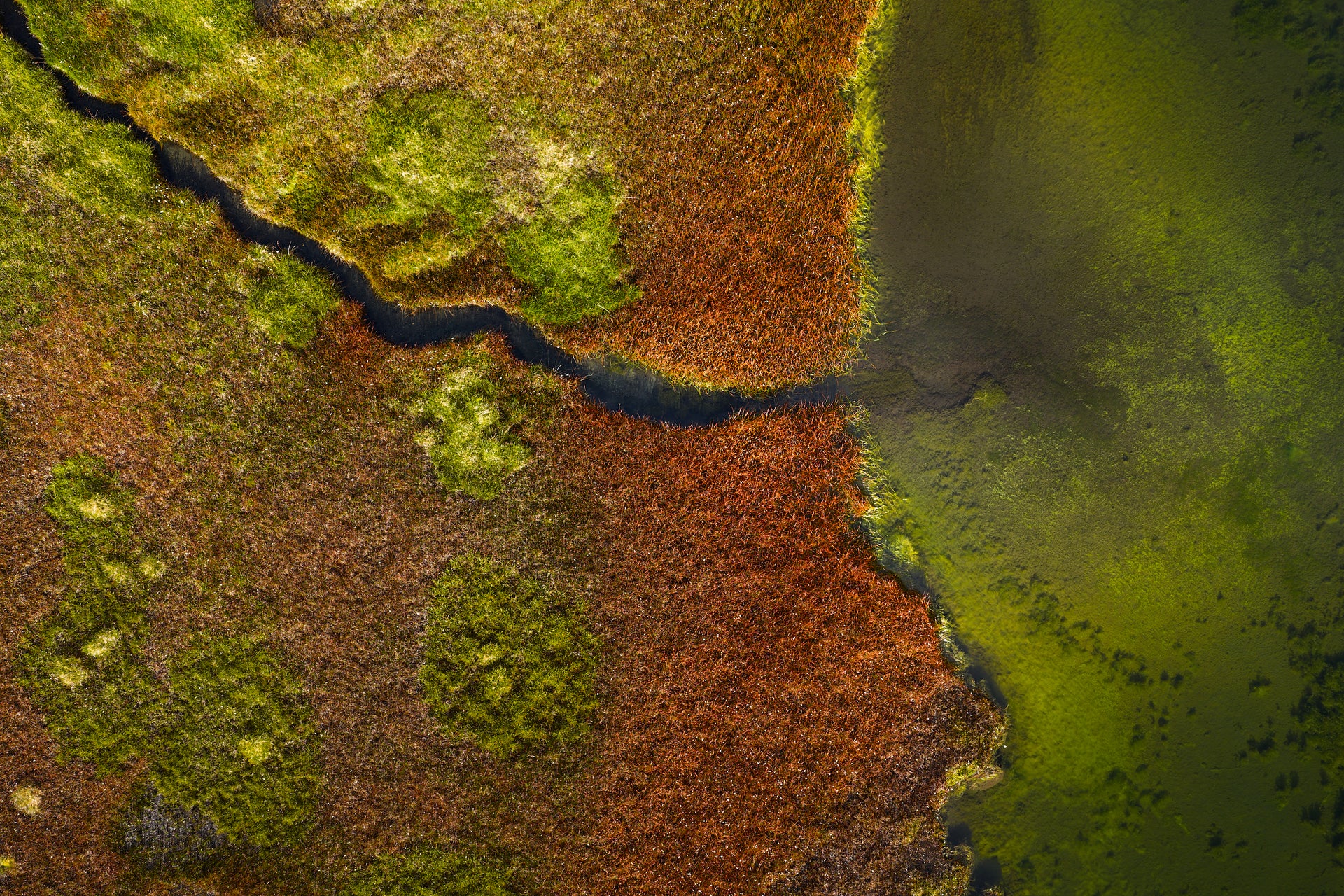 Basic image – ready for print or licensing.