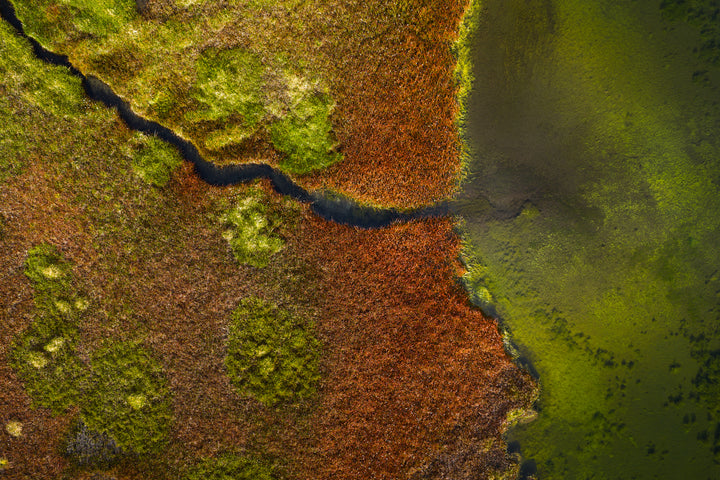 Basic image – ready for print or licensing.