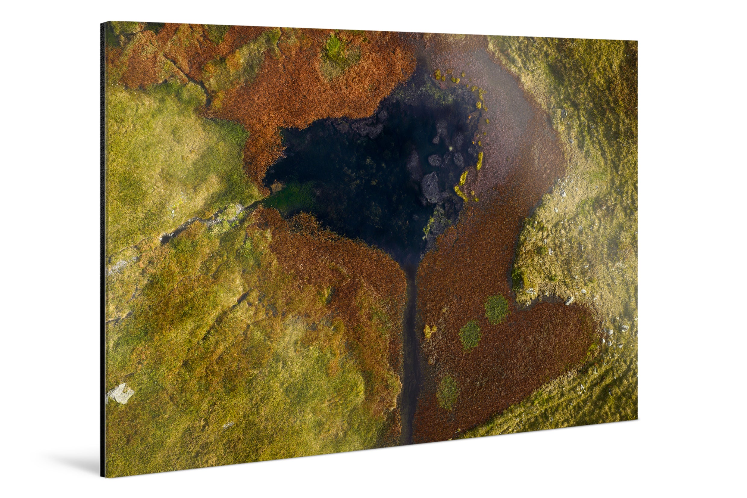 Photo Print Under Acrylic Glass