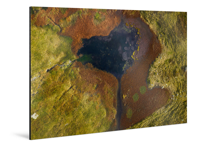 Photo Print On Aluminum Backing