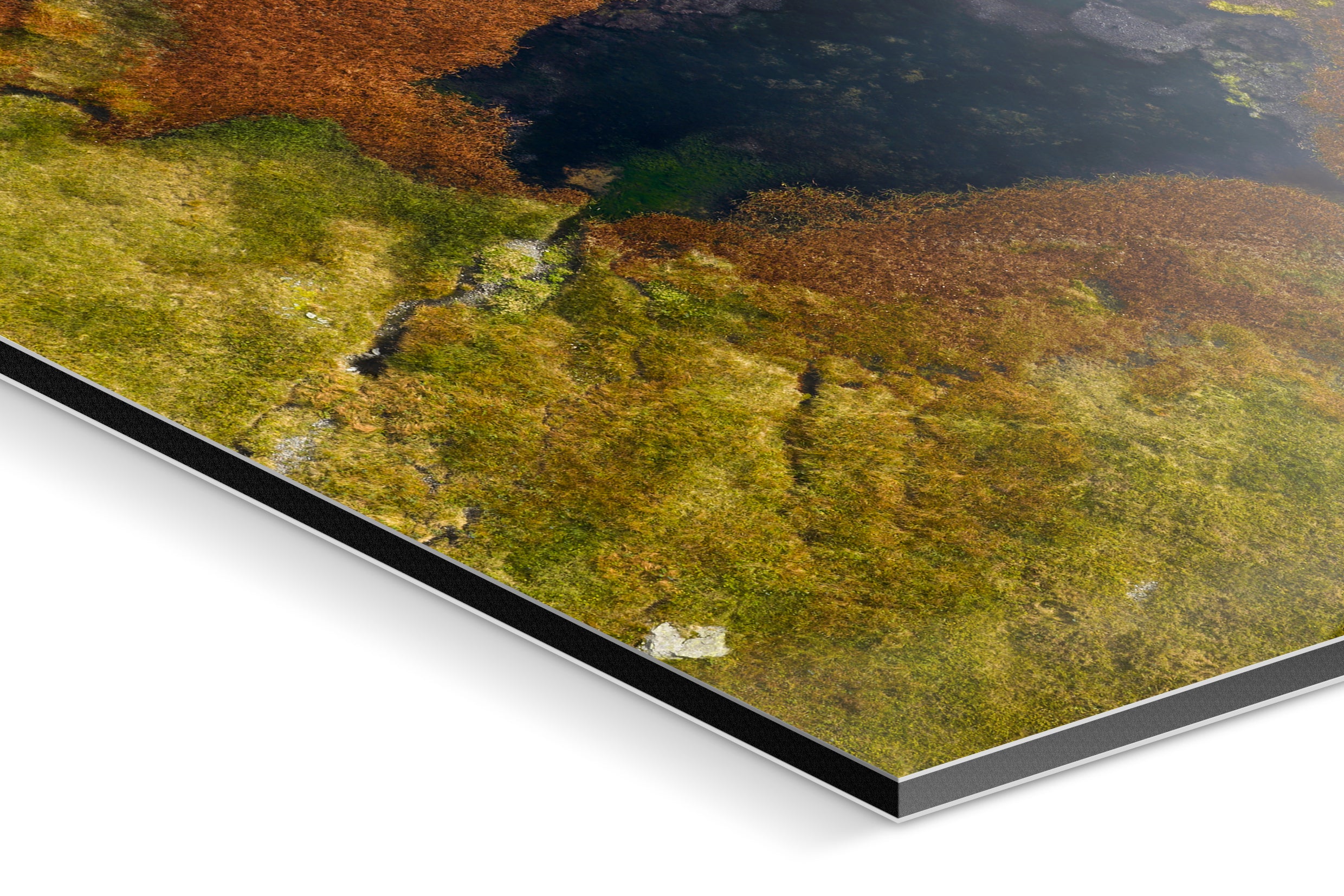 Photo Print On Aluminum Backing - Detail