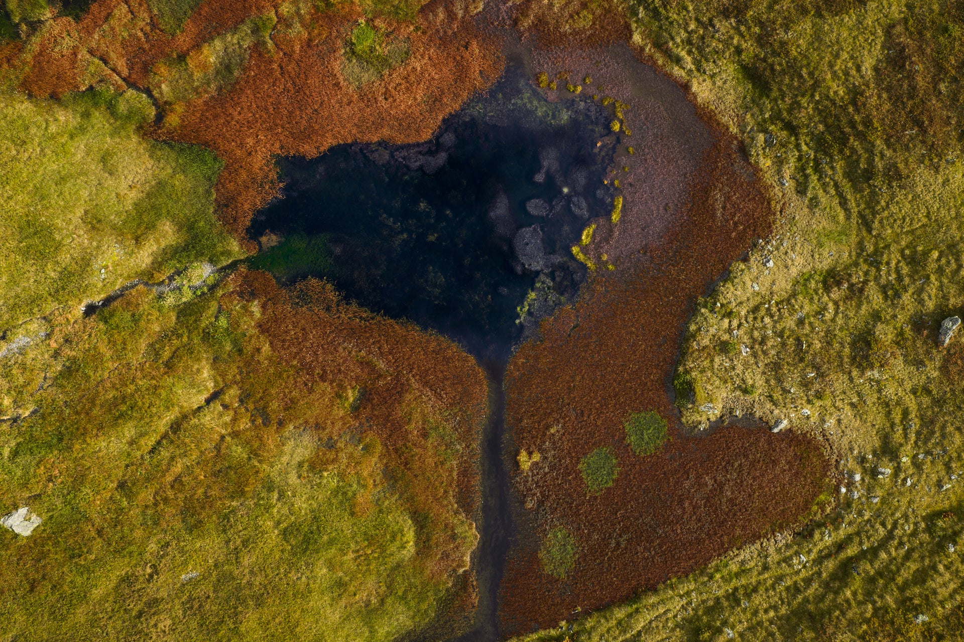 Basic image – ready for print or licensing.