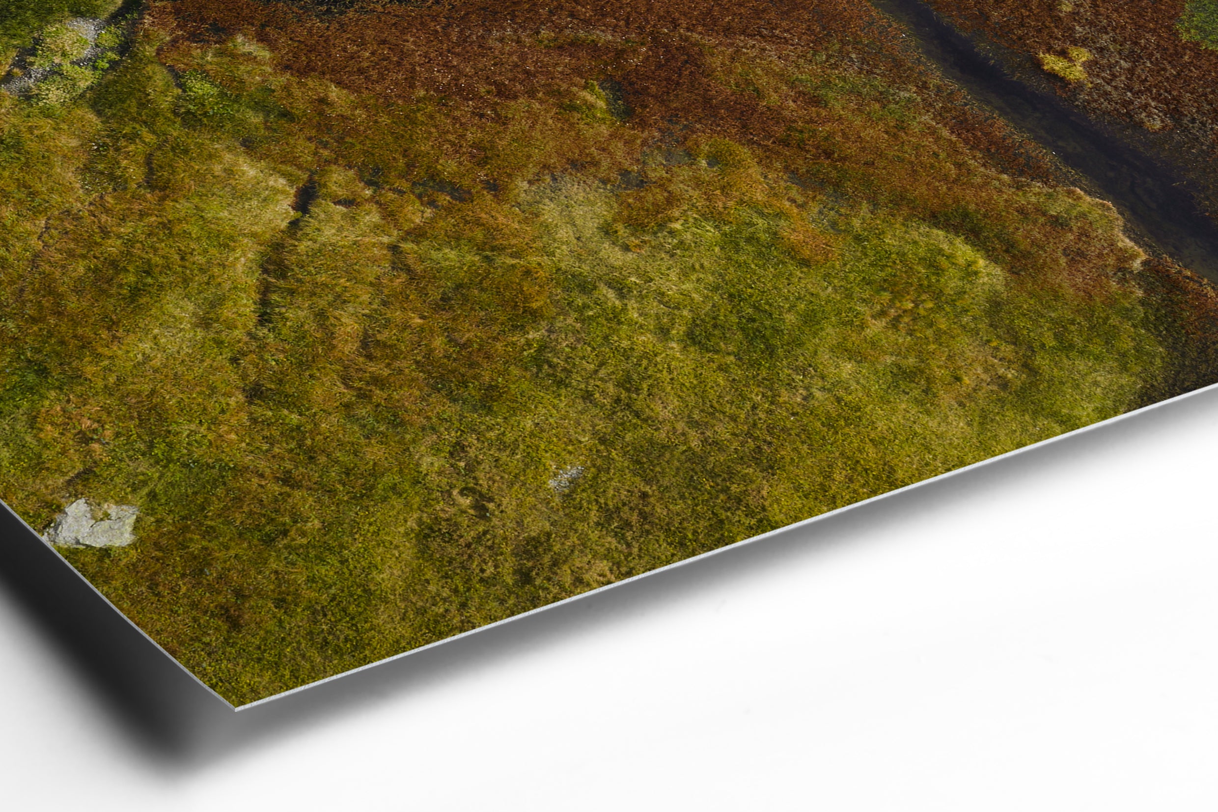 Hahnemühle FineArt Paper - Detail