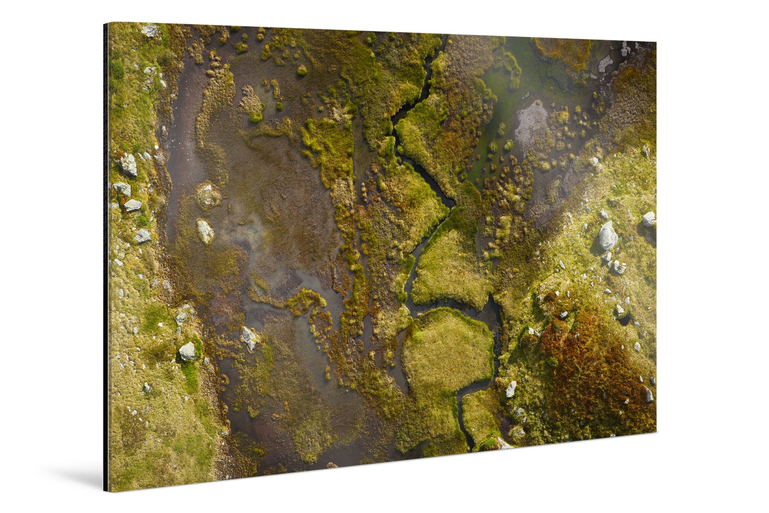 Photo Print Under Acrylic Glass