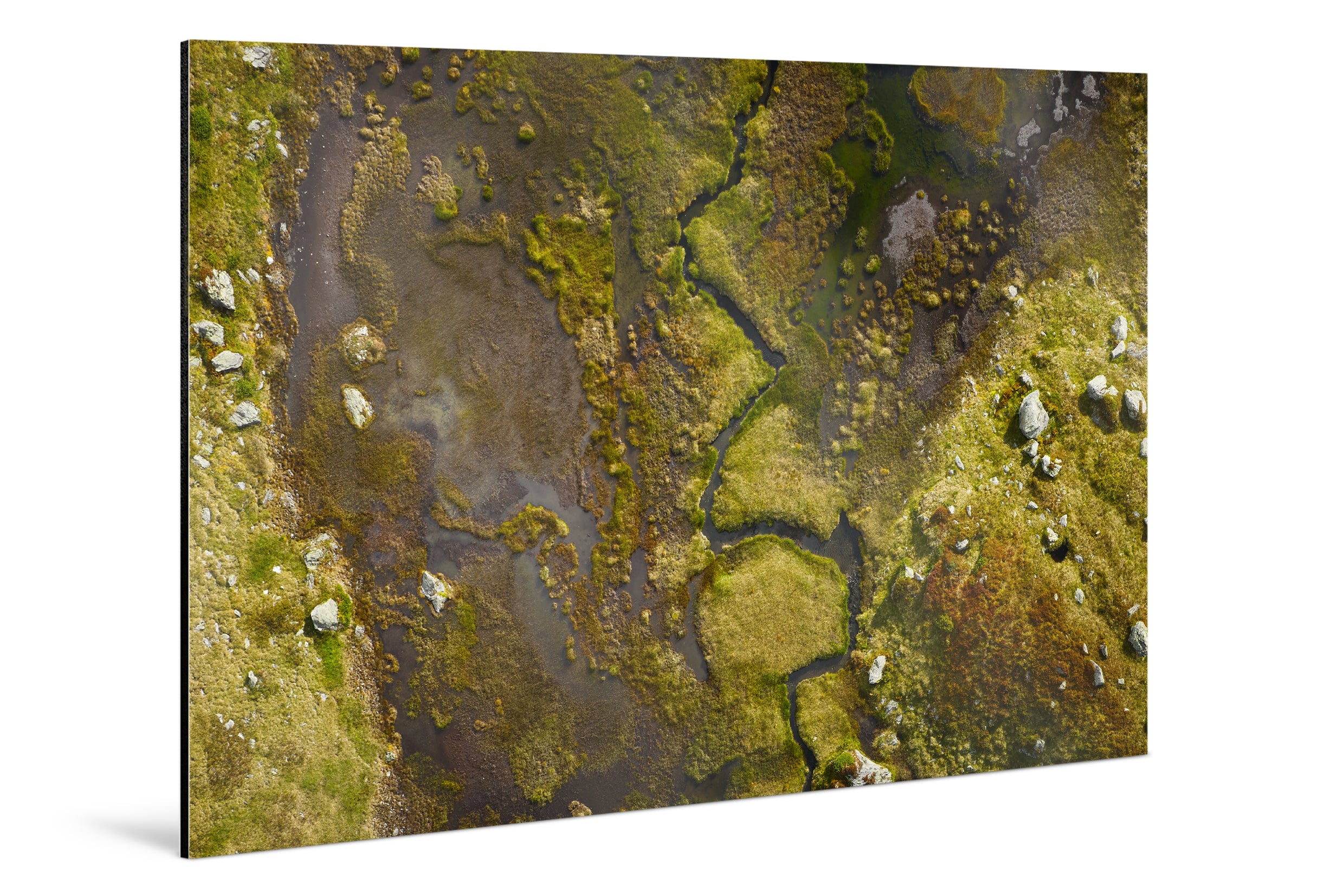 Photo Print On Aluminum Backing