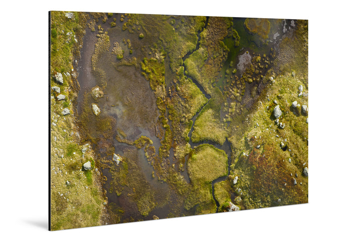 Photo Print On Aluminum Backing