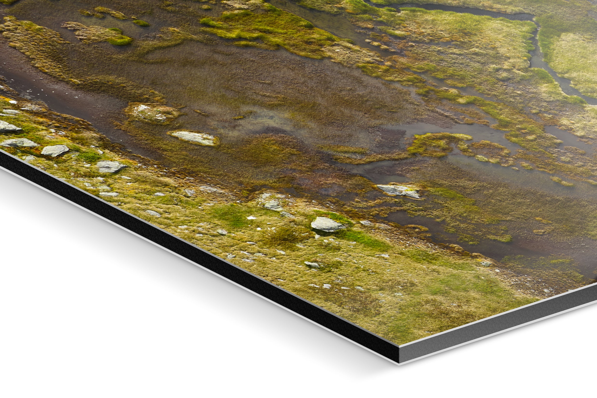 Photo Print On Aluminum Backing - Detail