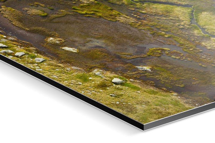 Photo Print On Aluminum Backing - Detail