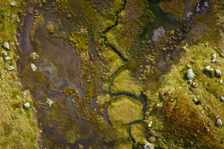 Basic image – ready for print or licensing.