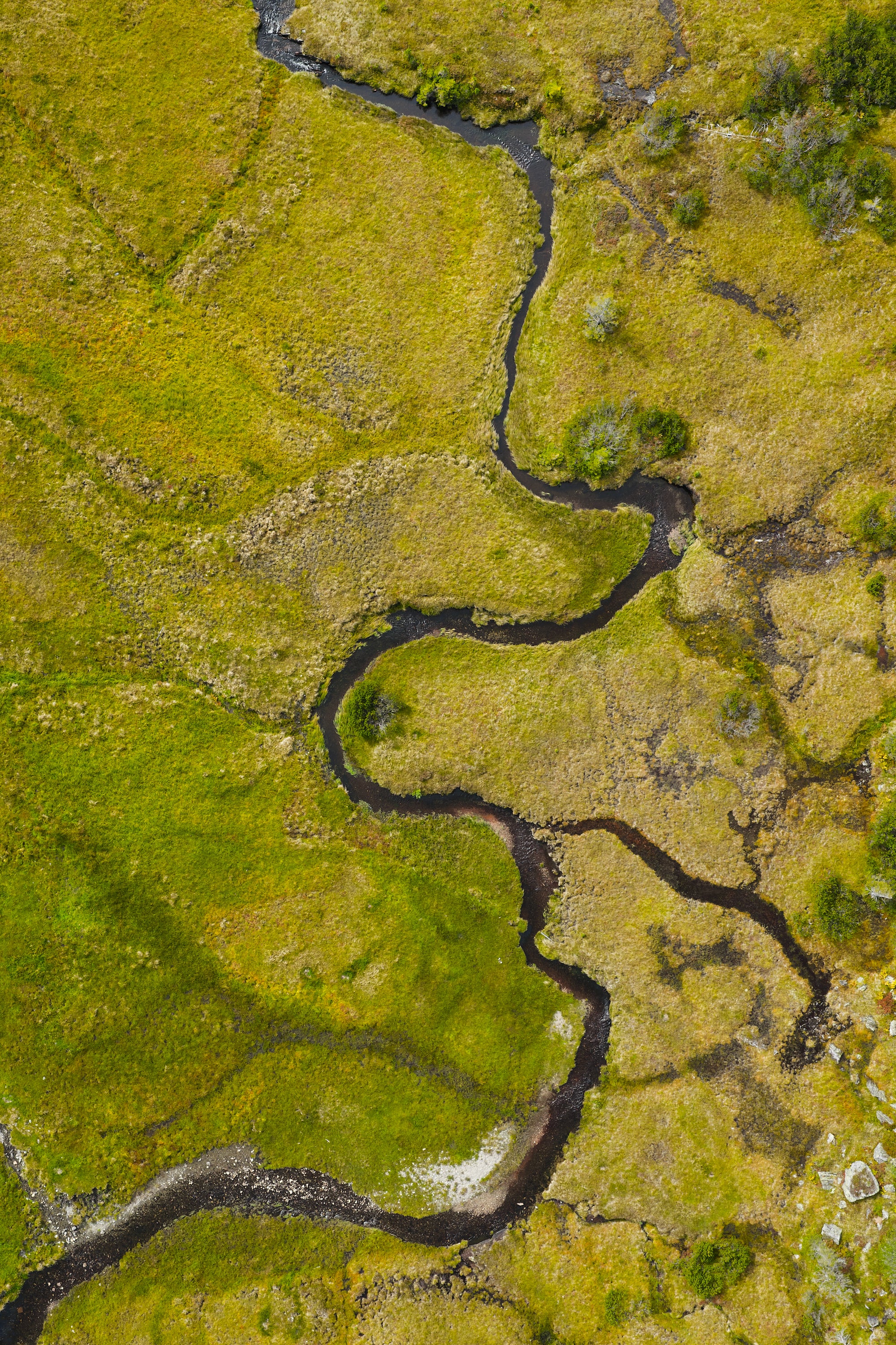 Basic image – ready for print or licensing.