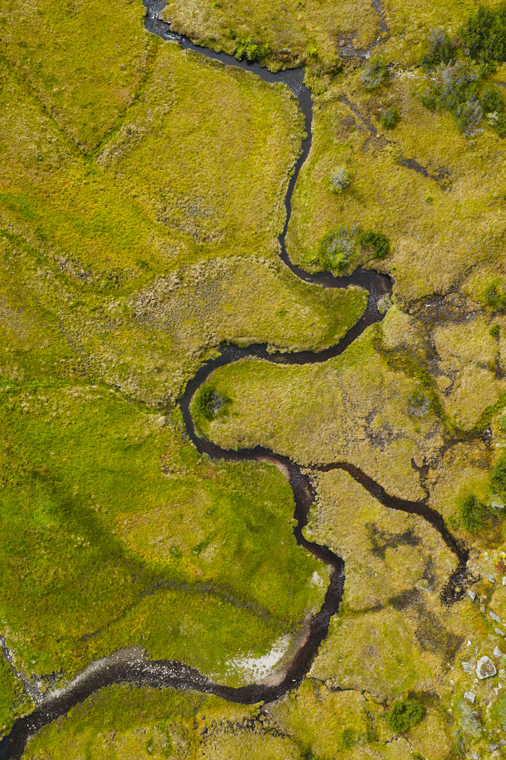 Basic image – ready for print or licensing.