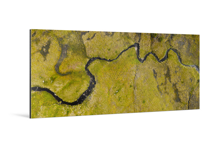 Photo Print On Aluminum Backing