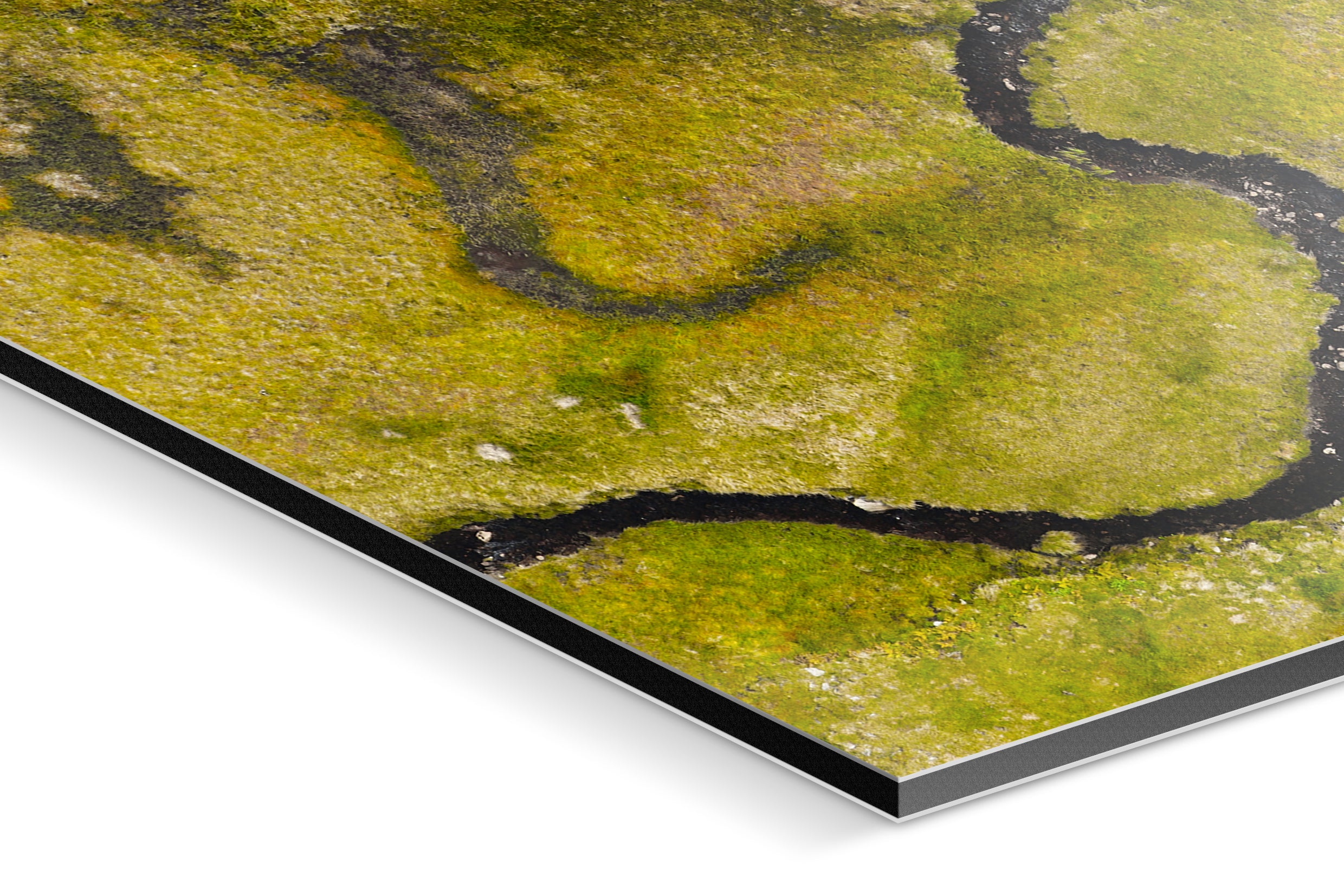 Photo Print On Aluminum Backing - Detail