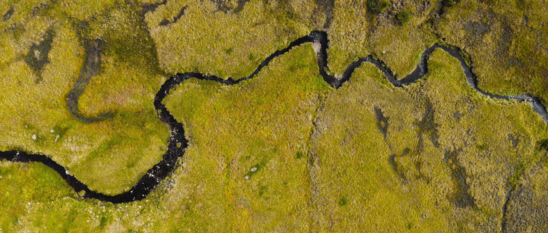 Basic image – ready for print or licensing.