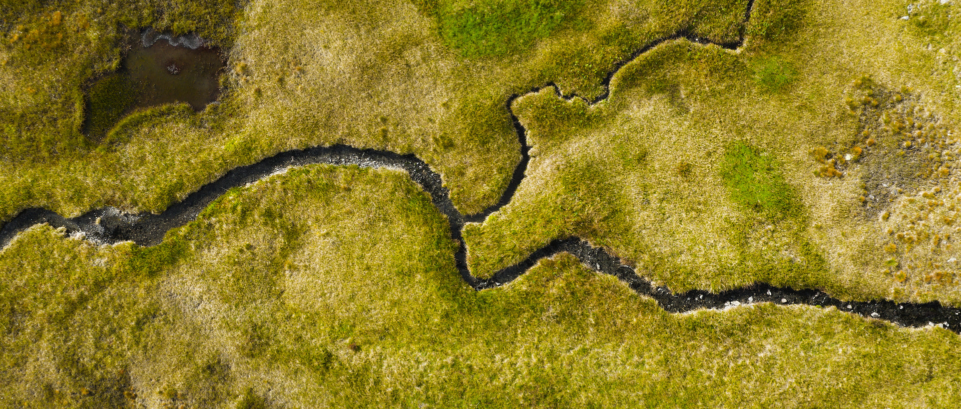 Basic image – ready for print or licensing.