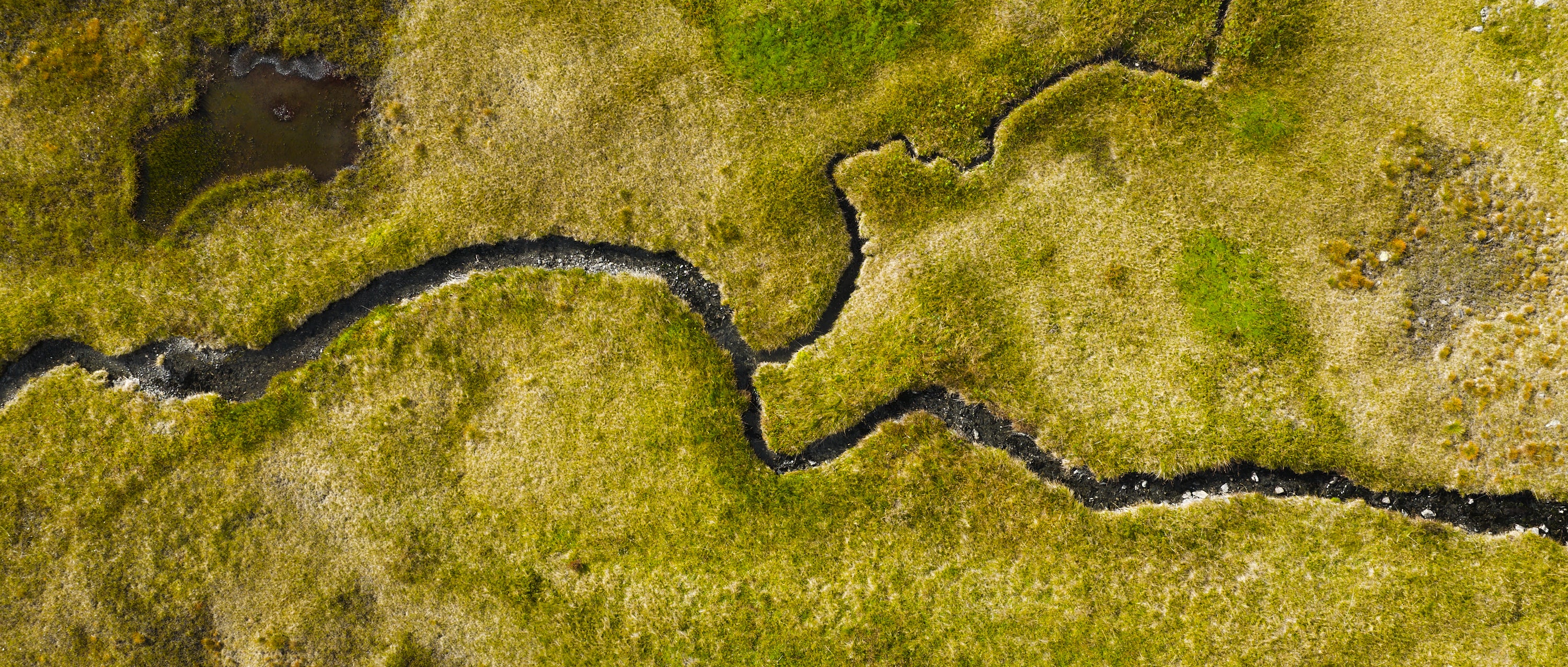 Basic image – ready for print or licensing.