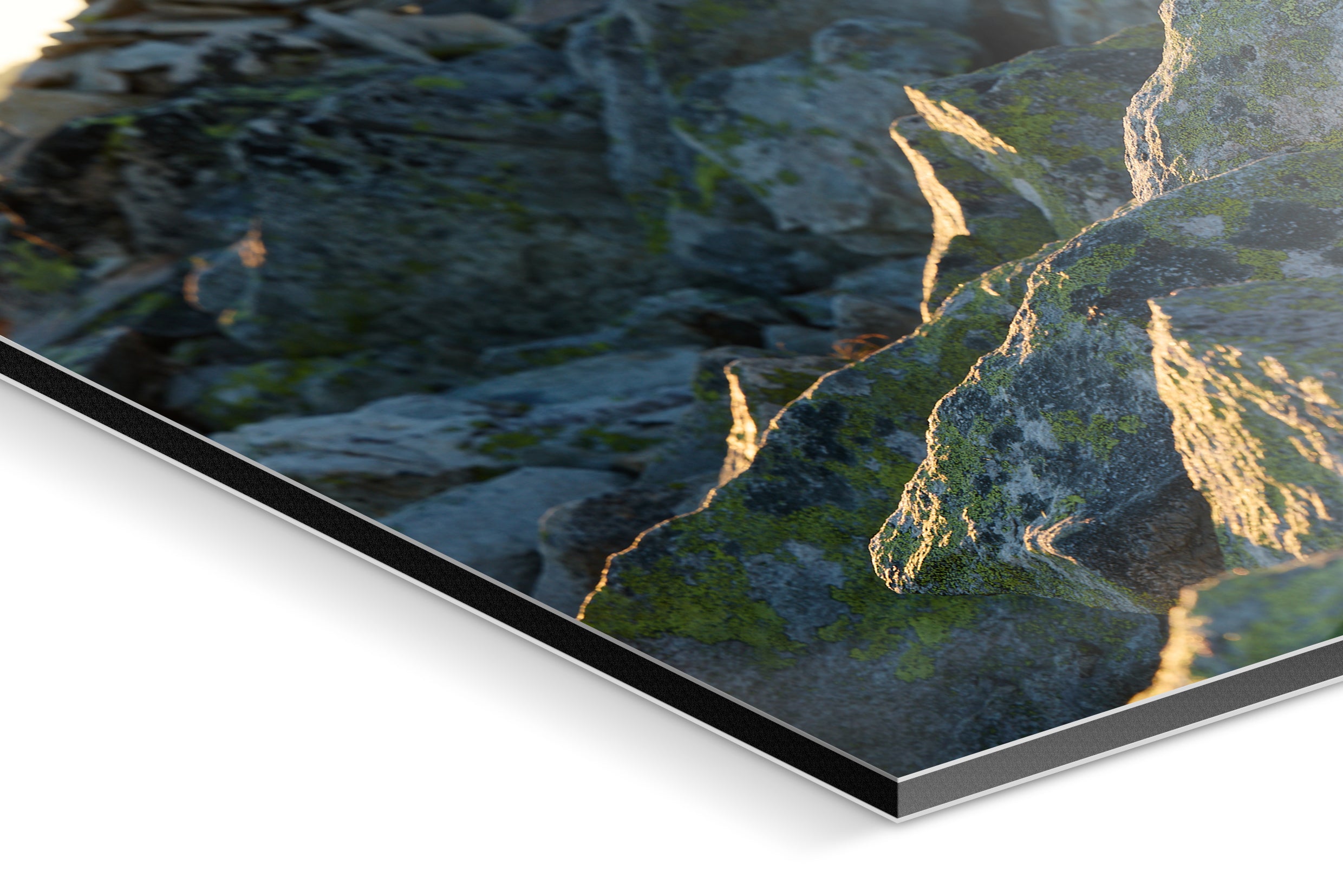 Photo Print On Aluminum Backing - Detail