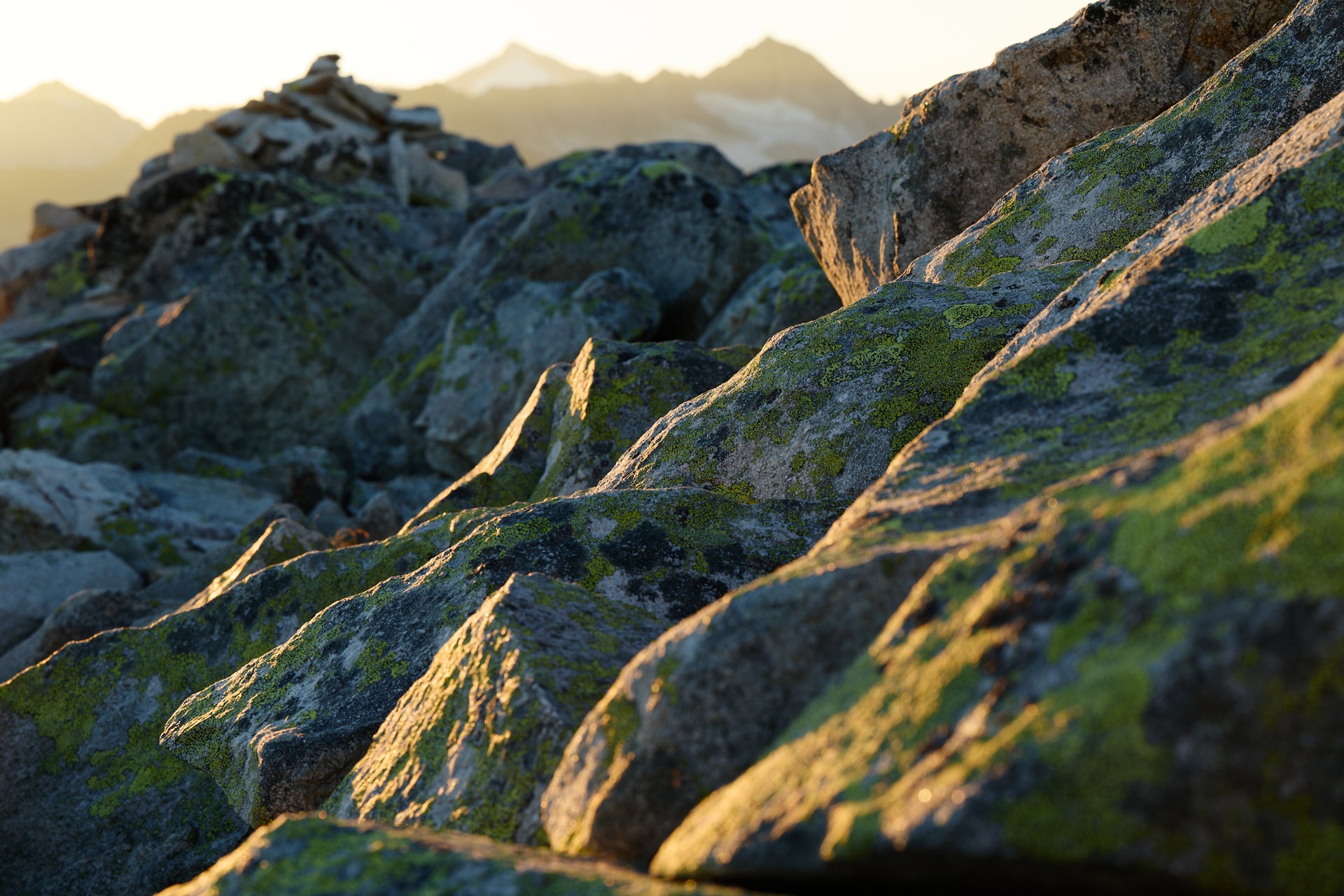 Basic image – ready for print or licensing.