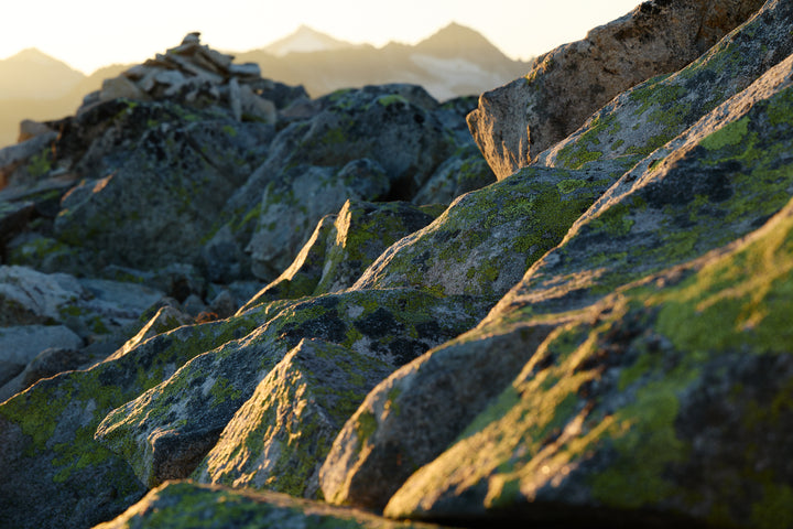 Basic image – ready for print or licensing.