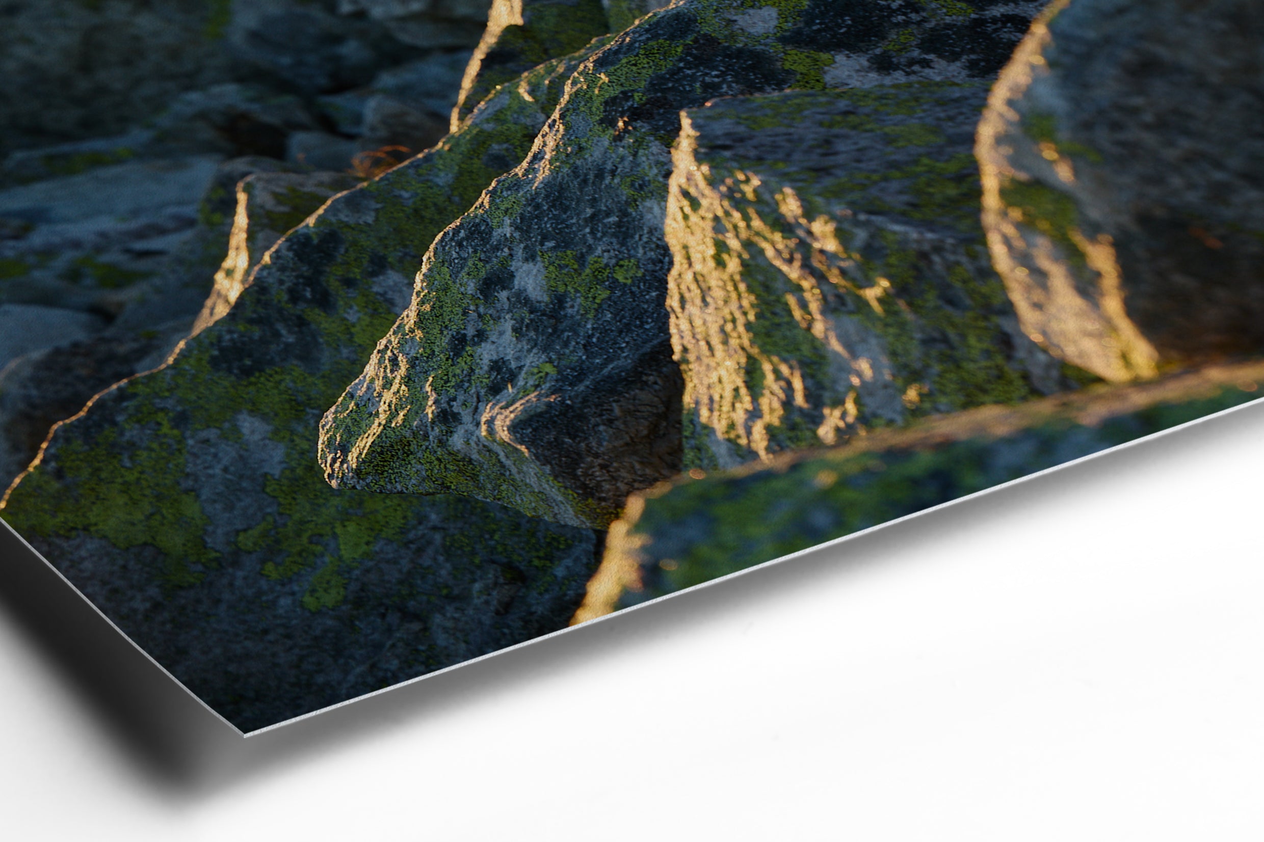 Hahnemühle FineArt Paper - Detail