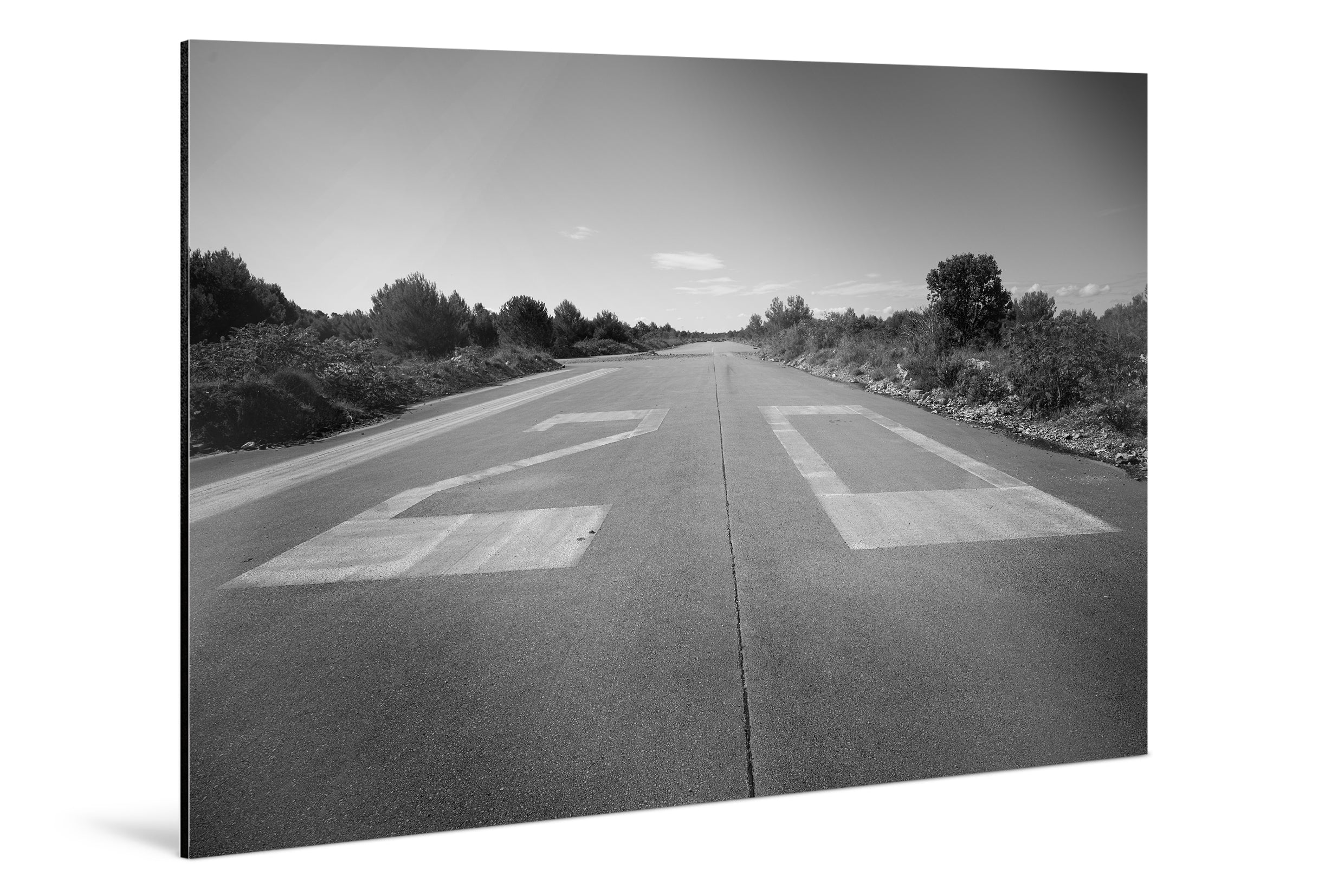 Photo Print On Aluminum Backing