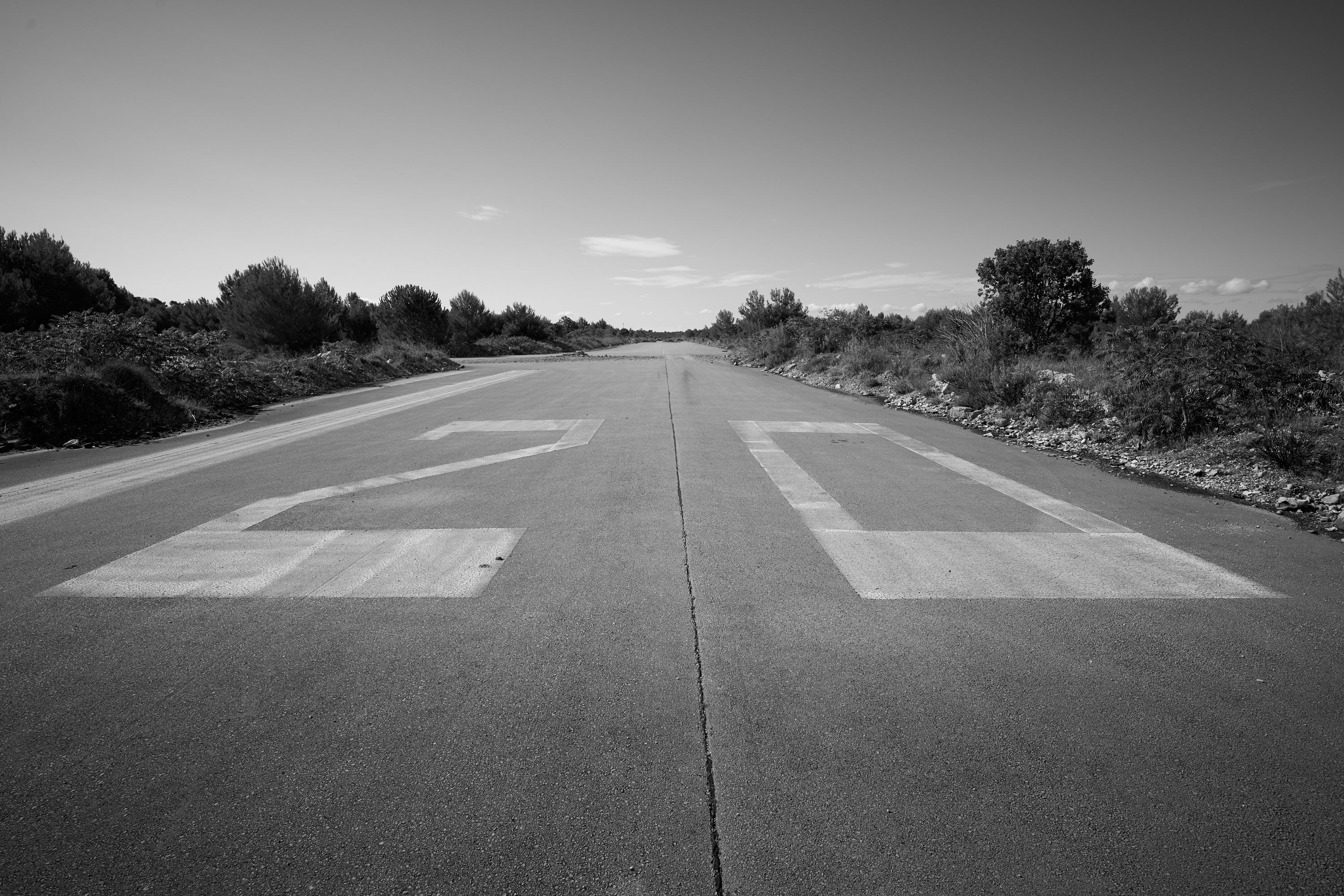 Basic image – ready for print or licensing.