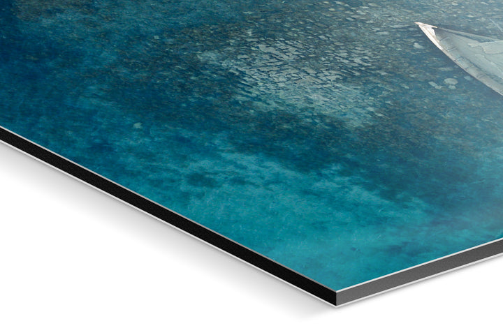 Photo Print On Aluminum Backing - Detail