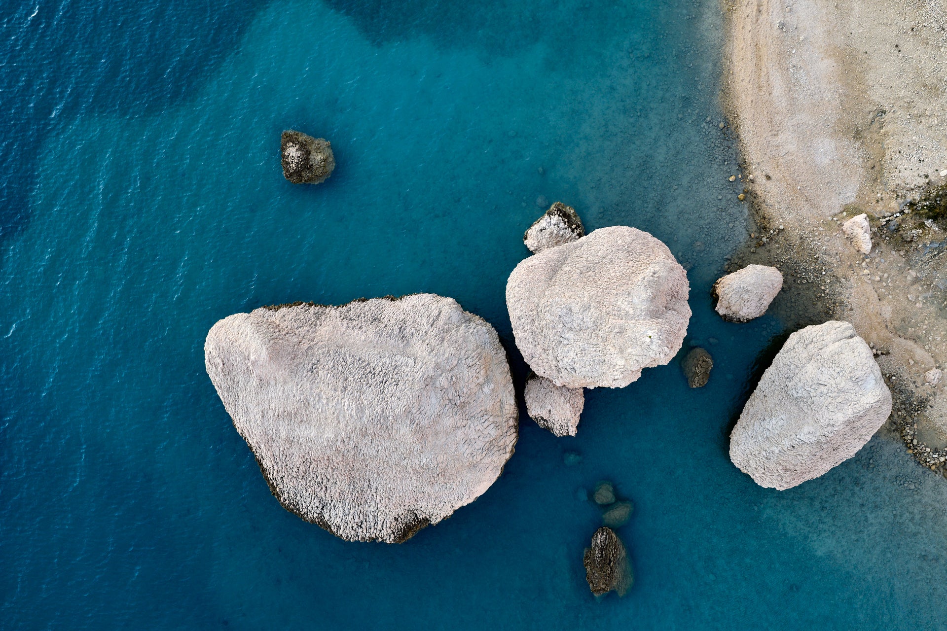 Basic image – ready for print or licensing.