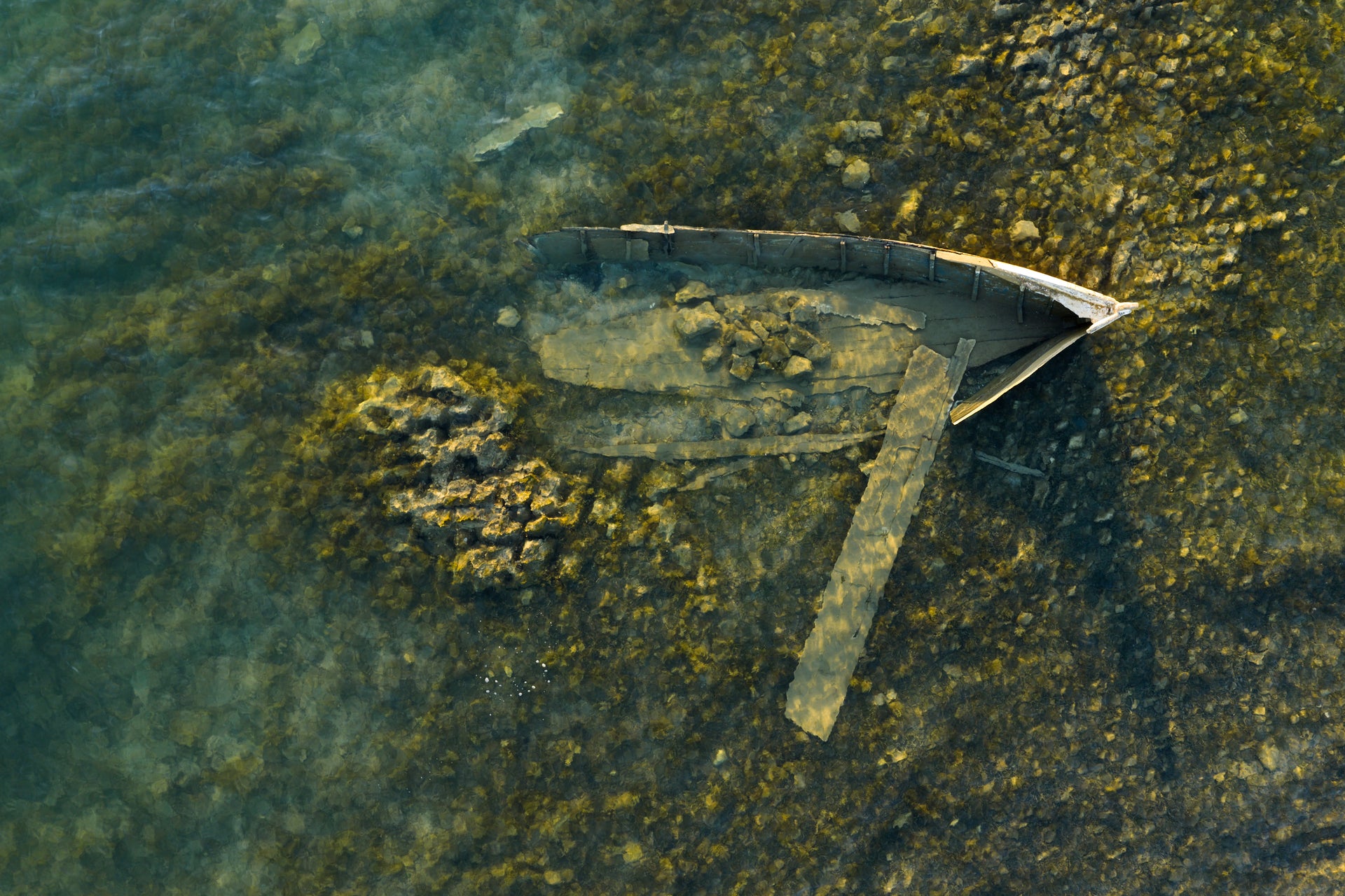 Basic image – ready for print or licensing.