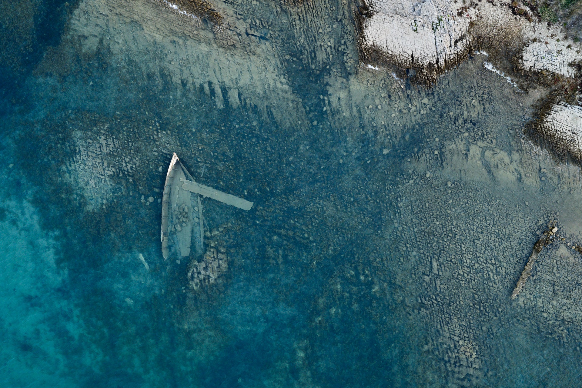 Basic image – ready for print or licensing.