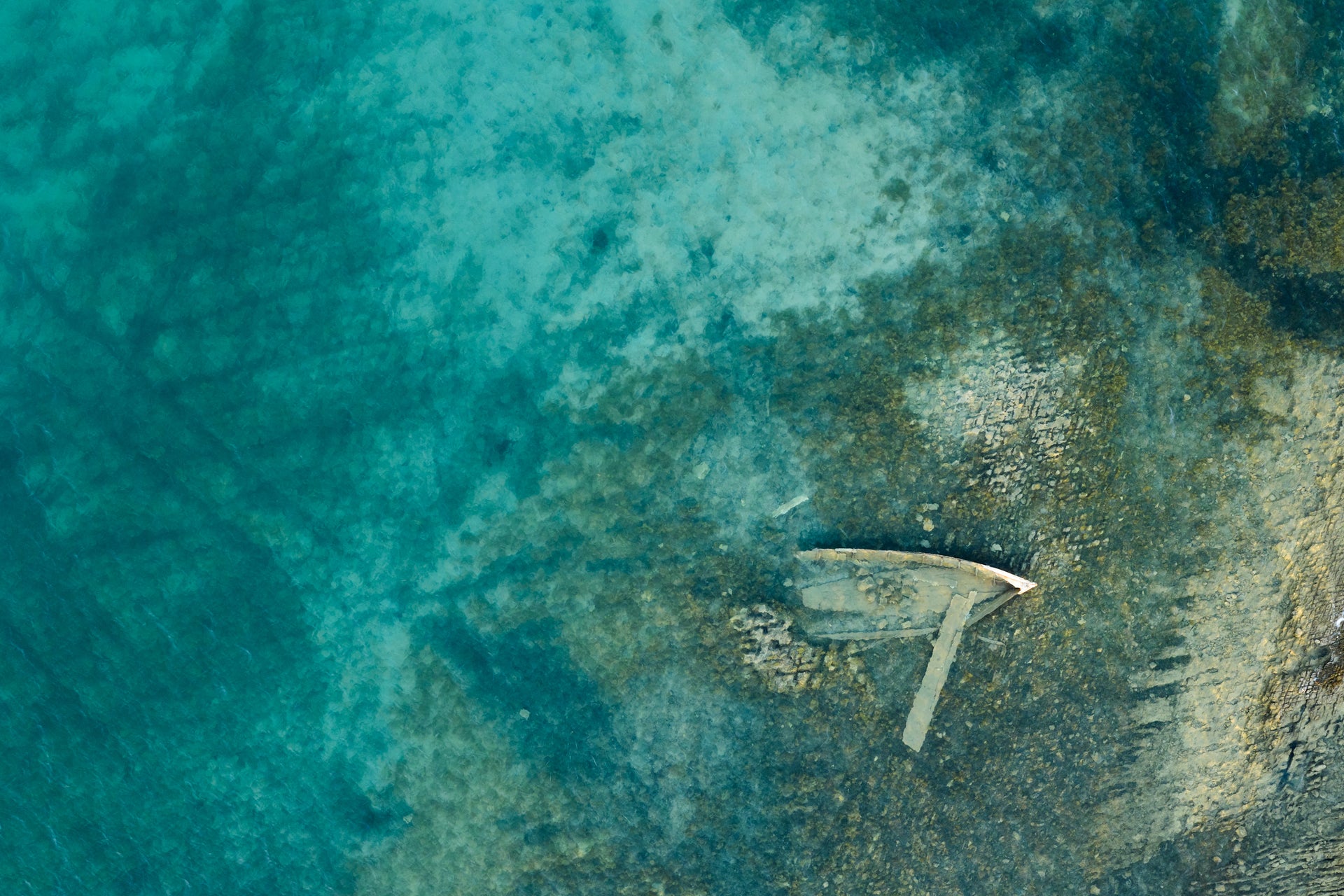 Basic image – ready for print or licensing.