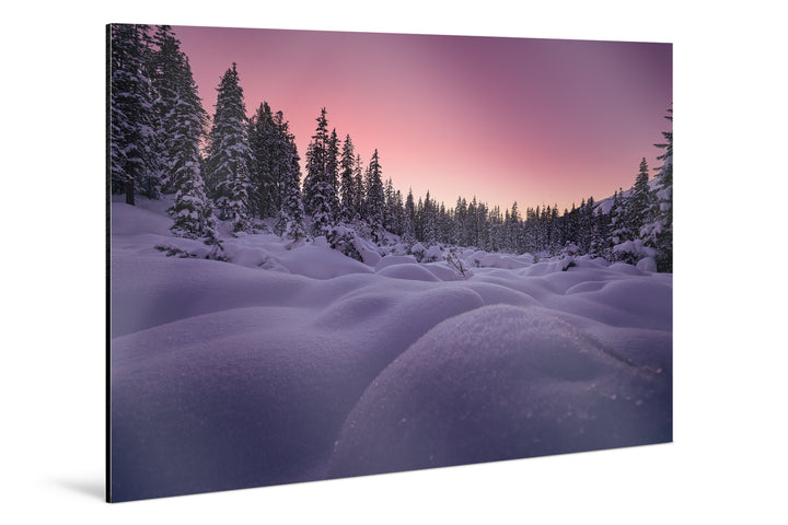 Photo Print On Aluminum Backing