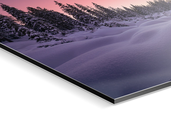 Photo Print On Aluminum Backing - Detail