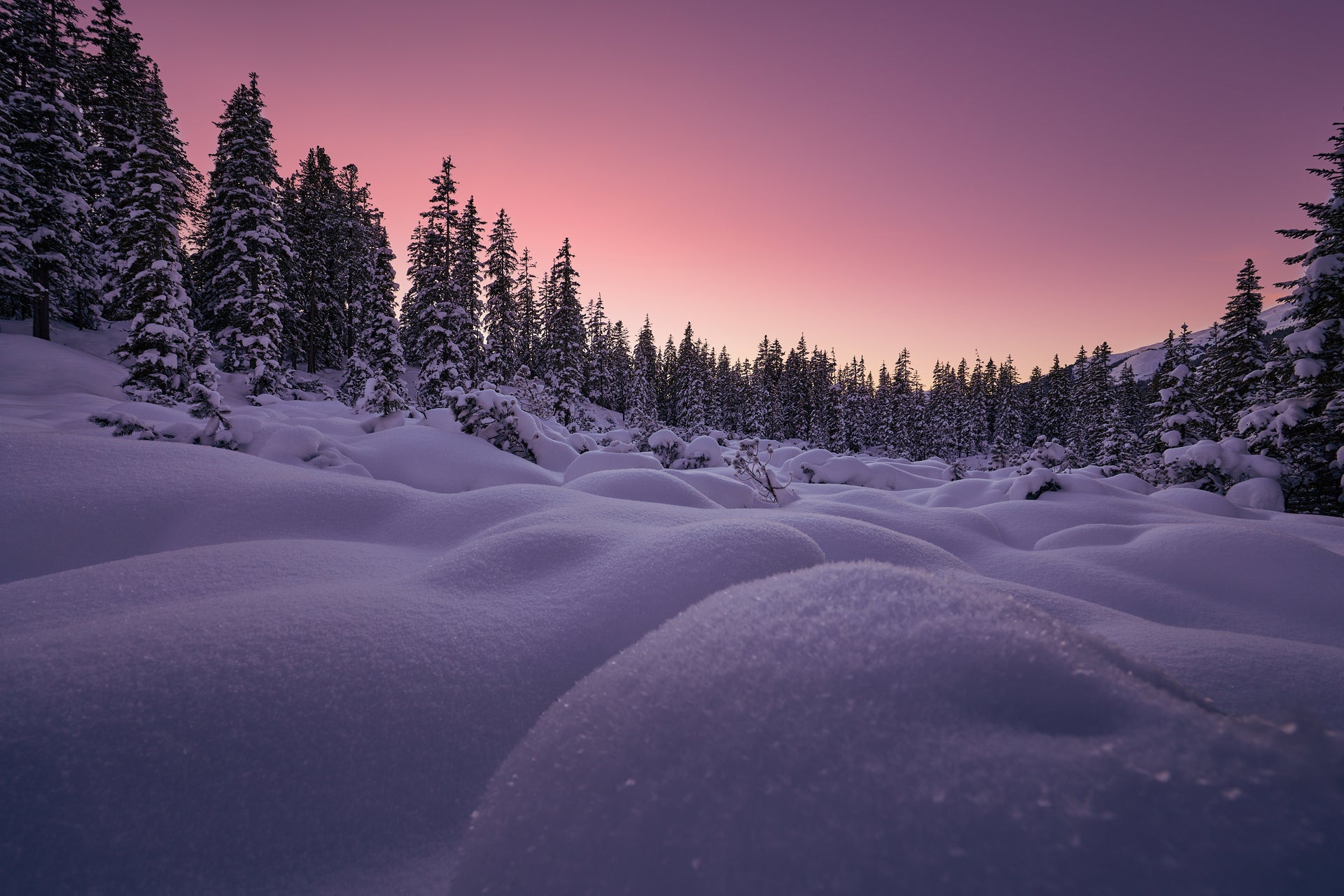 Basic image – ready for print or licensing.