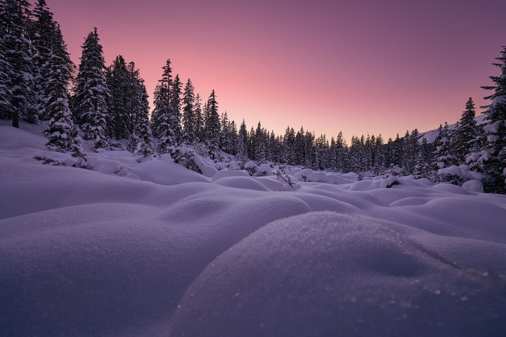 Basic image – ready for print or licensing.