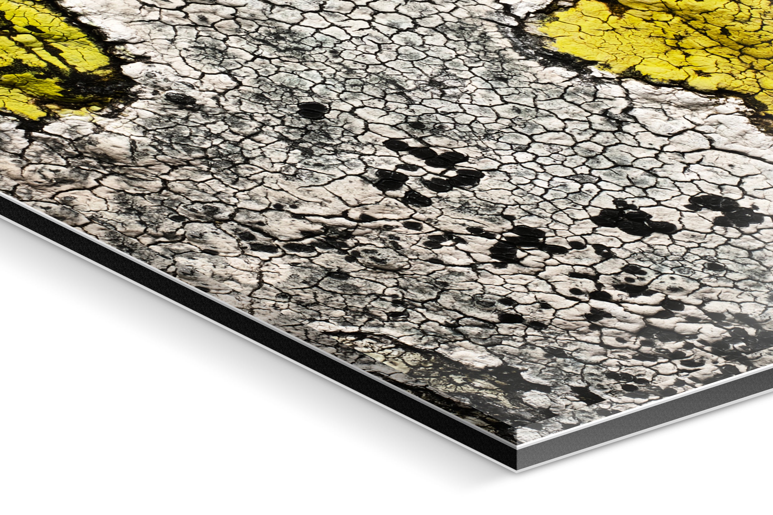 Photo Print Under Acrylic Glass - Detail