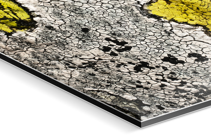 Photo Print Under Acrylic Glass - Detail