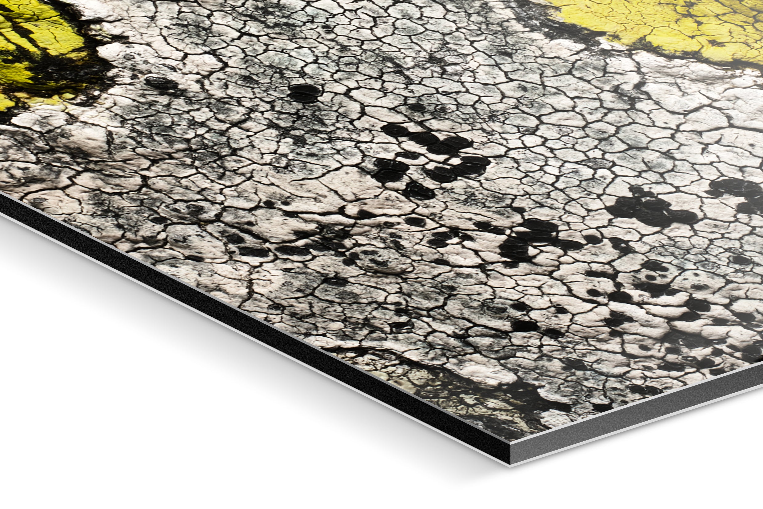 Photo Print On Aluminum Backing