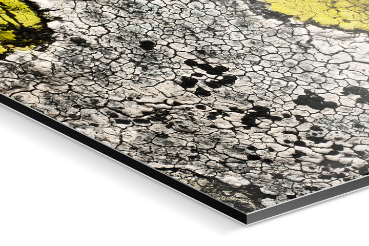 Photo Print On Aluminum Backing