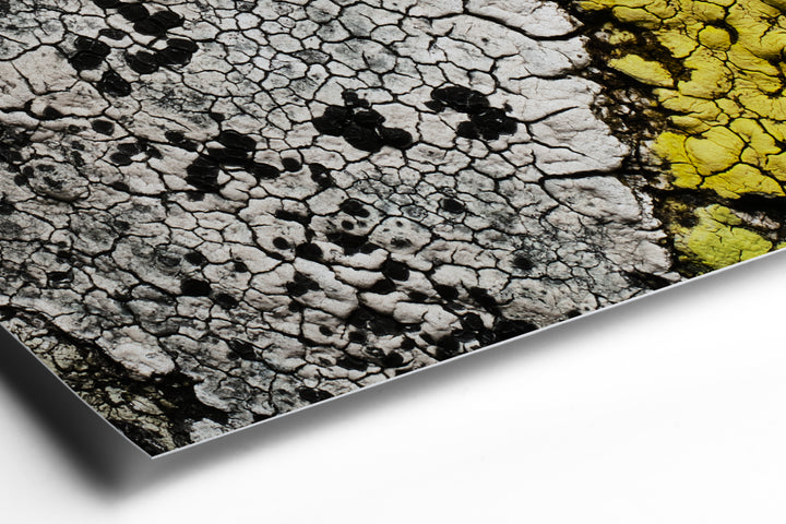 Hahnemühle FineArt Paper - Detail