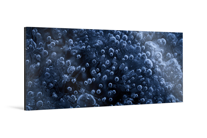 Photo Print Under Acrylic Glass