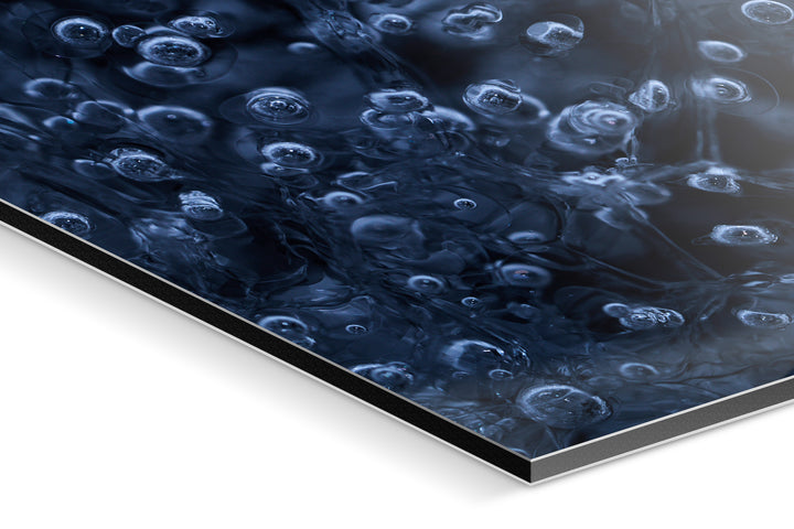 Photo Print On Aluminum Backing - Detail