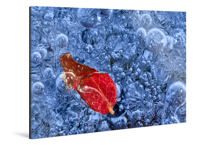 Photo Print Under Acrylic Glass